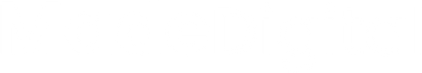 Website developer